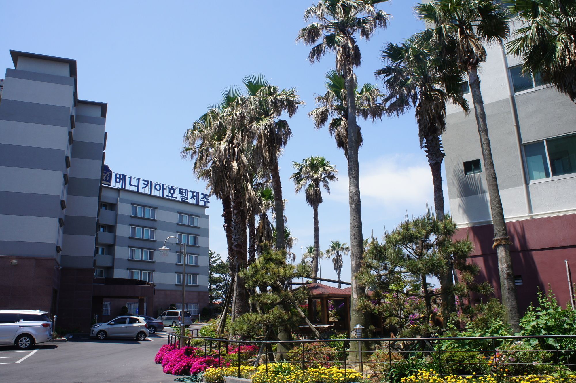 Benikea Hotel Jeju Exterior photo